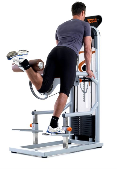 TECA SP 300C Standing gluteus fitness equipment