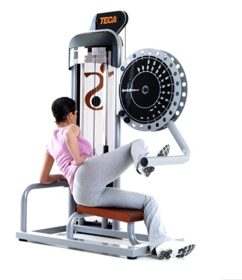 TECA PS SP310 Gluteus press fitness equipment