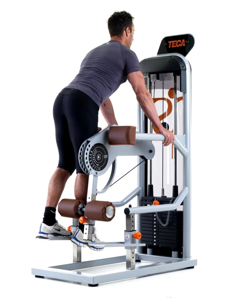 SP120 - Standing leg curl - Teca Fitness