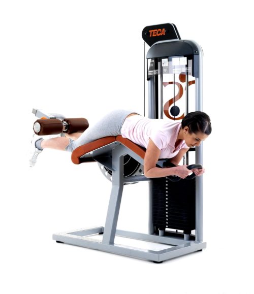 TECA SP110 - Leg curl gym equipment
