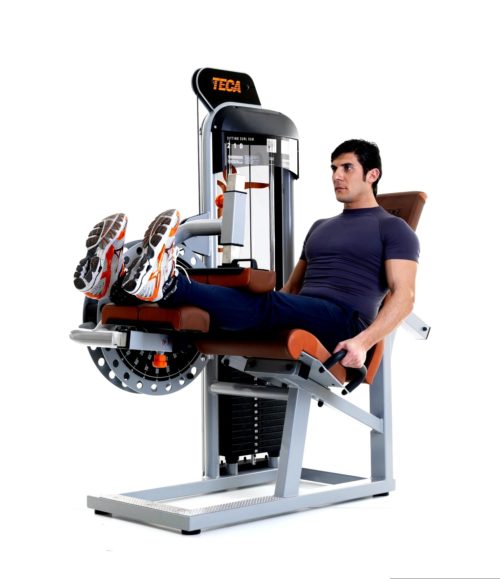TECA SP210 Sitting leg curl fitness machine