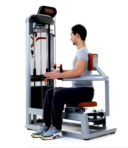 TECA SP670S Rotary torso gym equipment