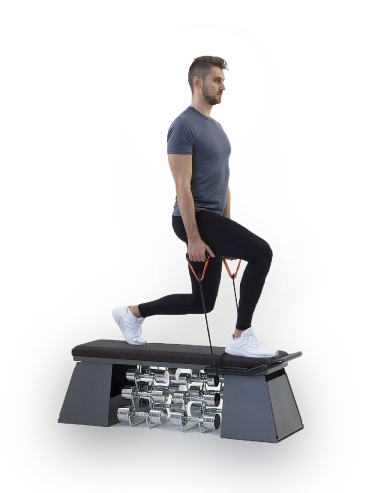 TECA Bench | Fitness Equipment | Teca Fitness