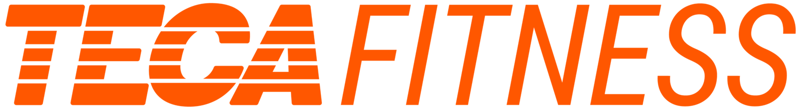 TECA Fitness